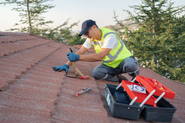 Residential Roof Replacement in Duluth, MN