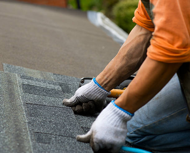 Best Storm Damage Roof Repair  in Duluth, MN