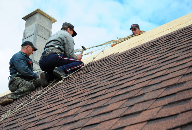 Best Roof Repair Services  in Duluth, MN