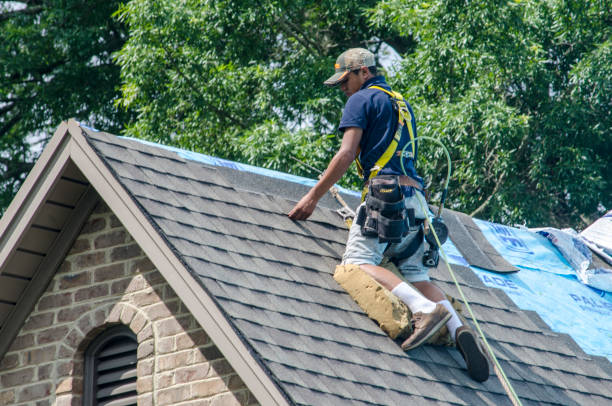 Best Residential Roof Replacement  in Duluth, MN
